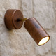 Sublime Adjustable Copper Outdoor Wall Light Sublime Adjustable Copper Outdoor Wall Light
